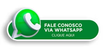 Falar no whatsapp